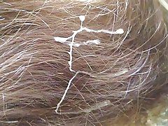 Lihim tinamuran tren 003