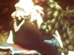 Kantutan fine para sa littering